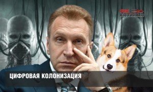 Цифровая колонизация